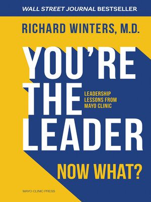 cover image of You're the Leader. Now What?